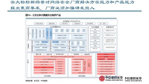 网络安全软件开发 黄金发展期下的龙头新兴公司加速增长
