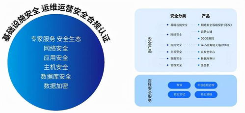 构建安全堡垒，守好发展生命线——专访百胜软件数据安全负责人Hellen